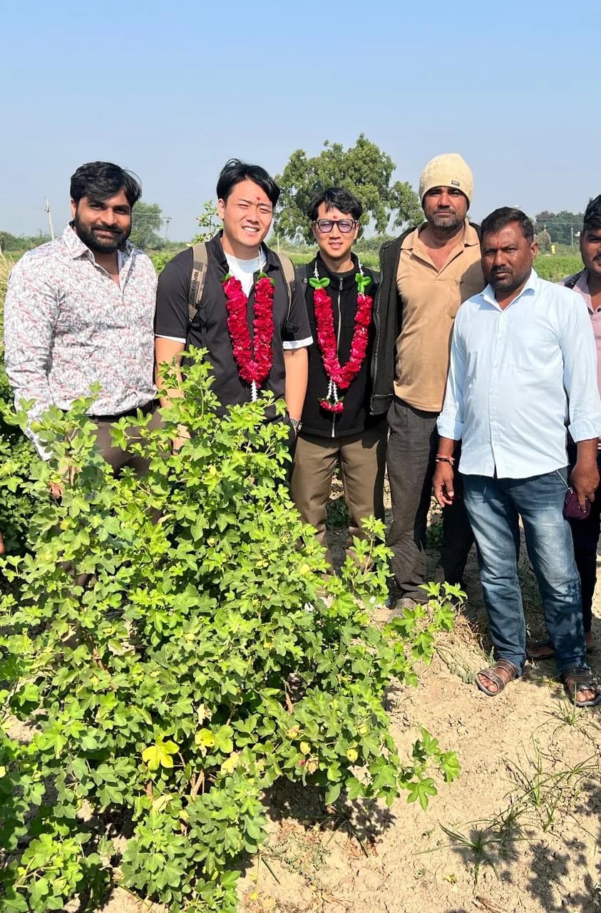 Visiting clients welcomed by farmers in a cotton field