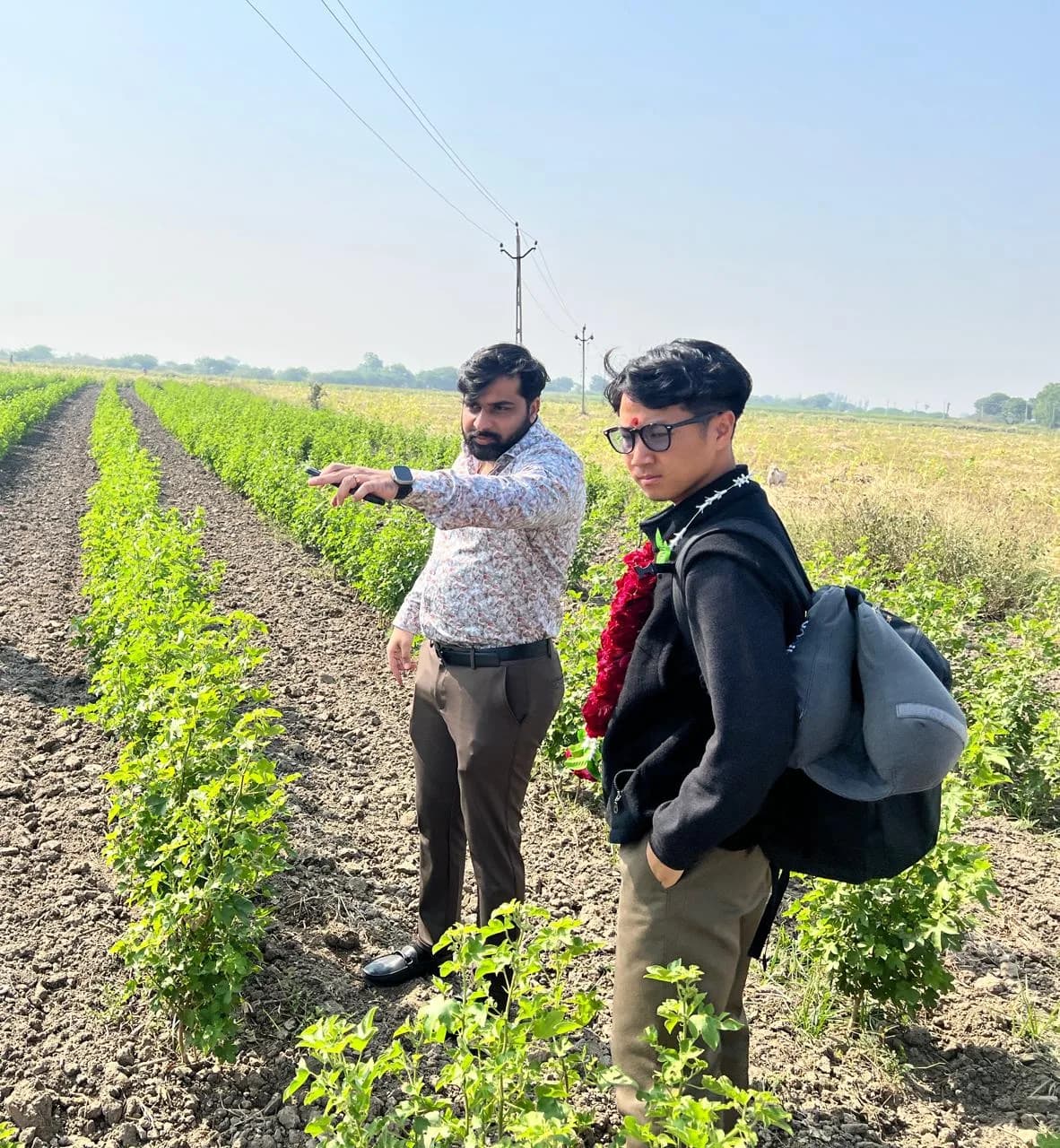 Our team showing a client around an organic cotton field