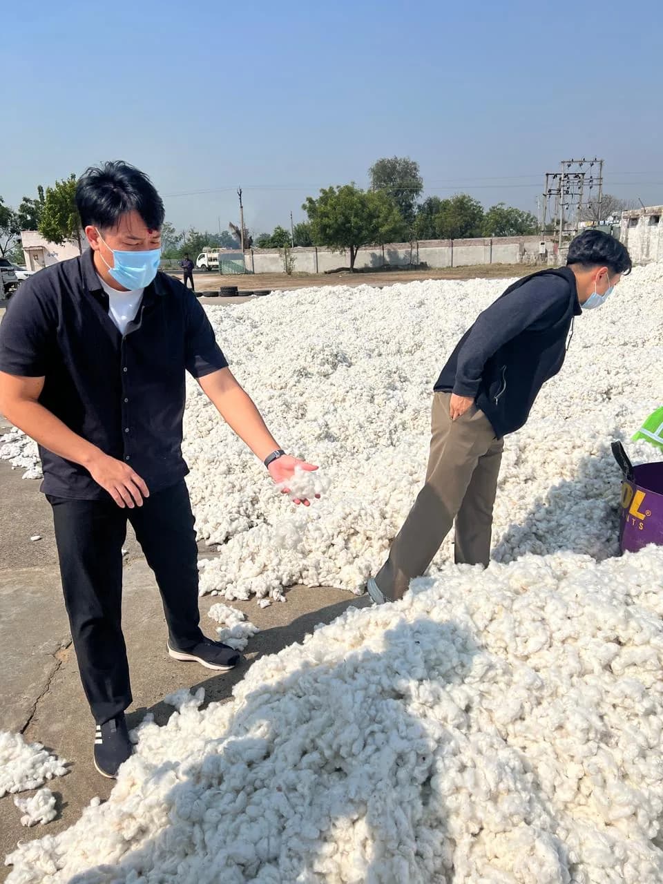 Clients inspecting raw cotton at the ginning yard