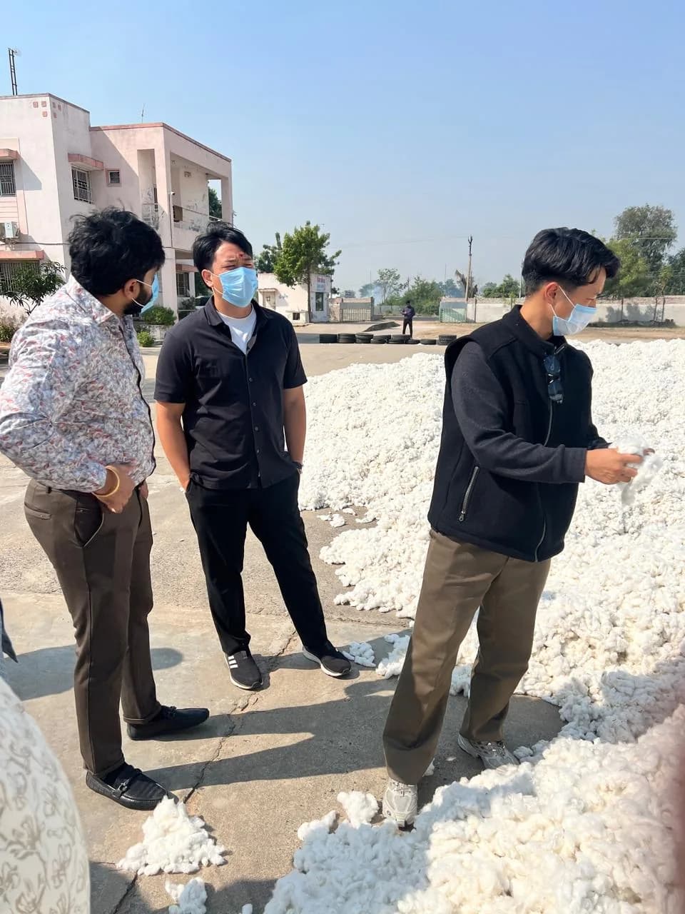 Clients and our team examining raw cotton in the yard