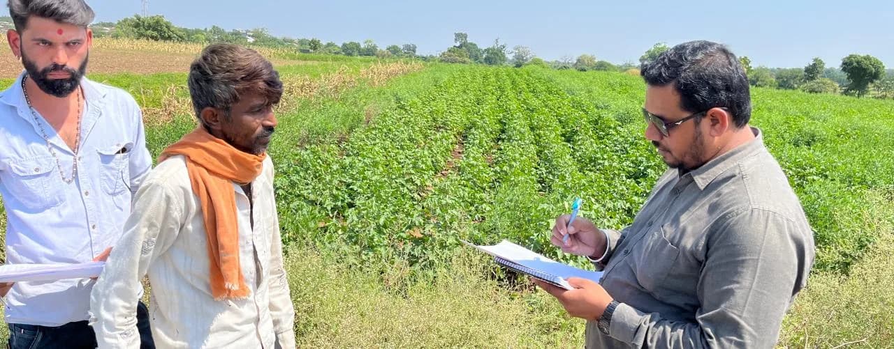 Cotton inspection with a farmer in the field