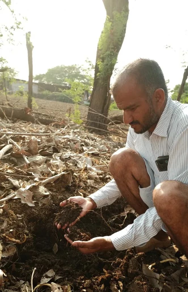 Checking soil health on an organic farm