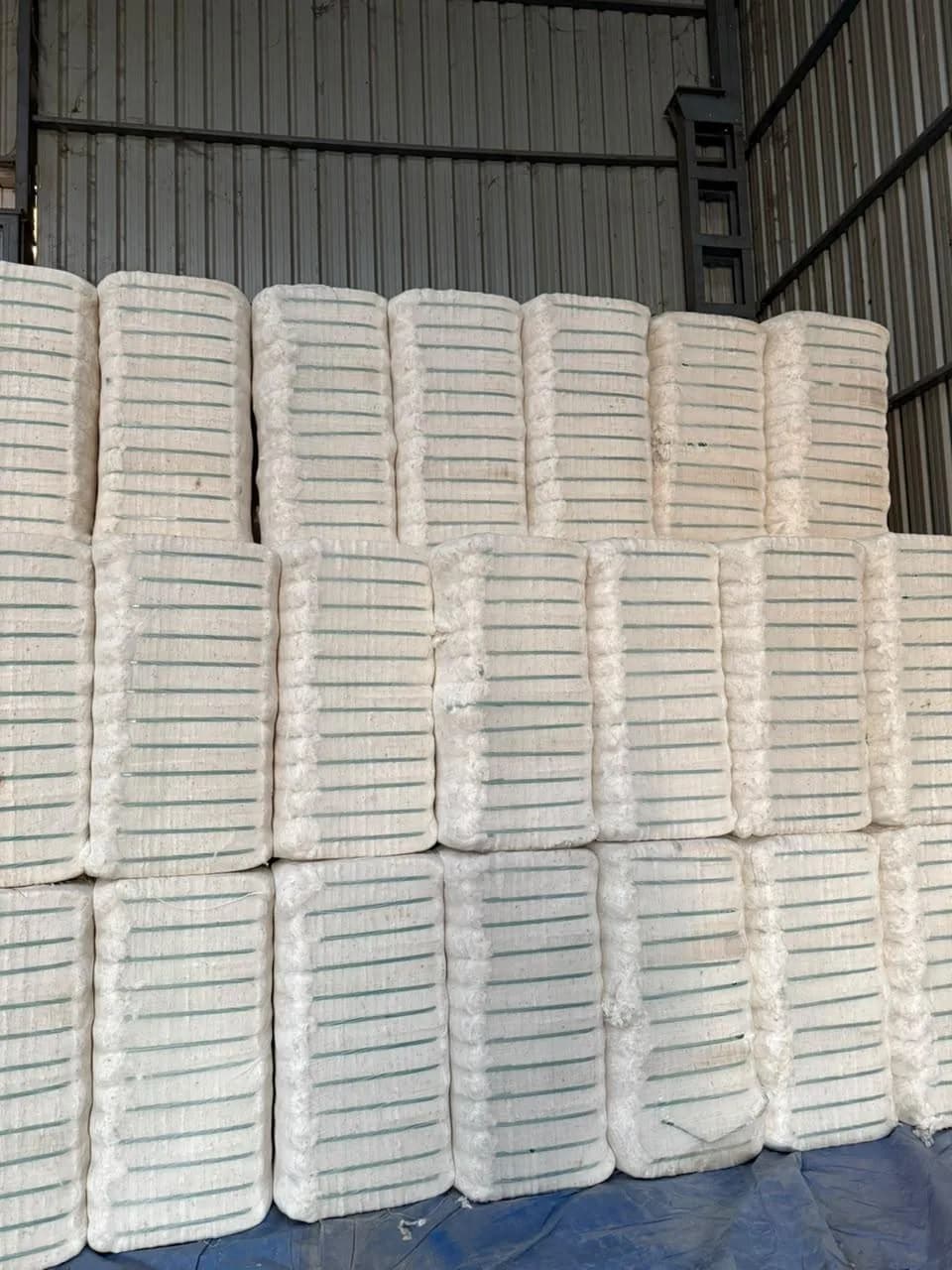 Tall stacks of cotton bales ready for dispatch