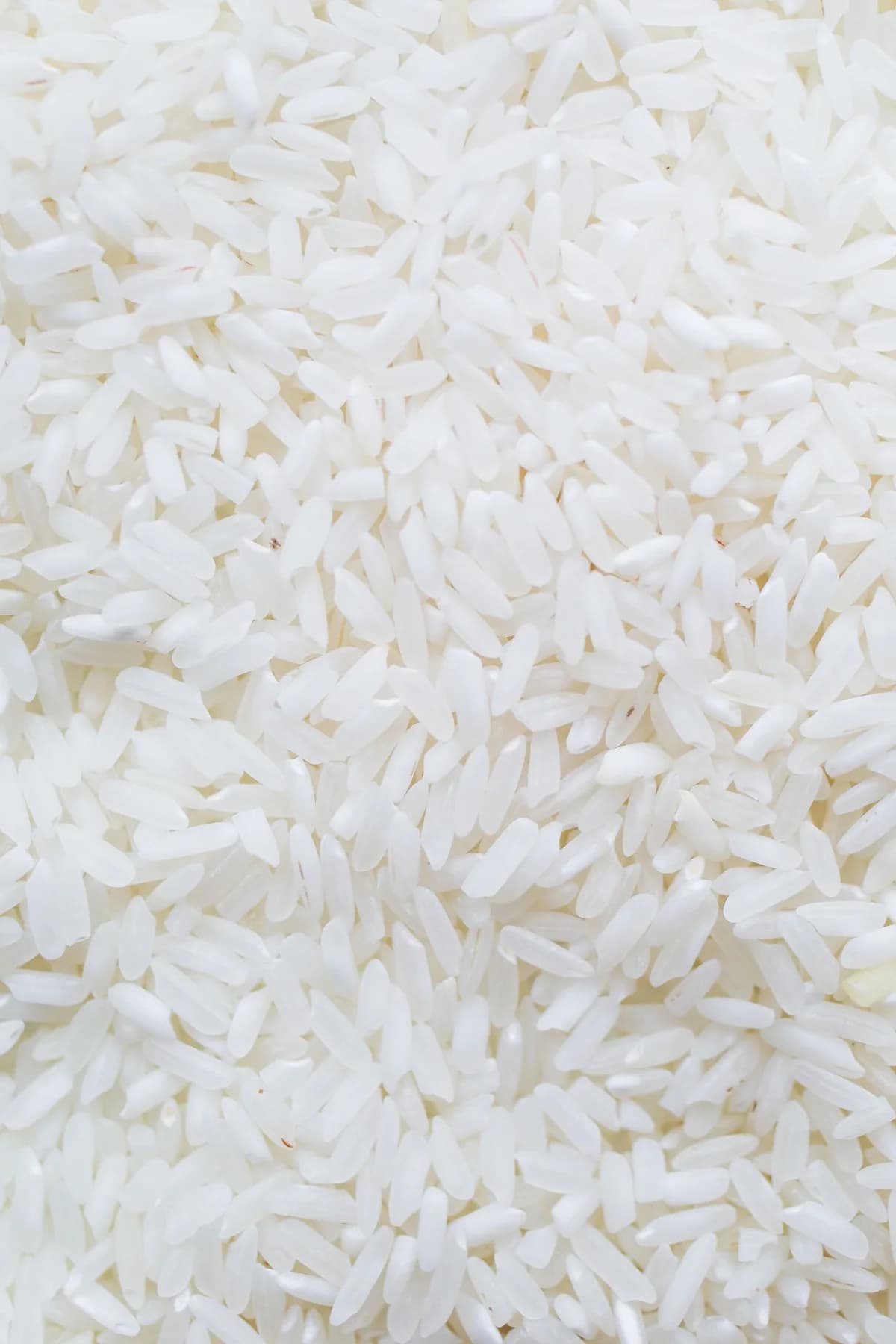 Close-up of uncooked white rice grains