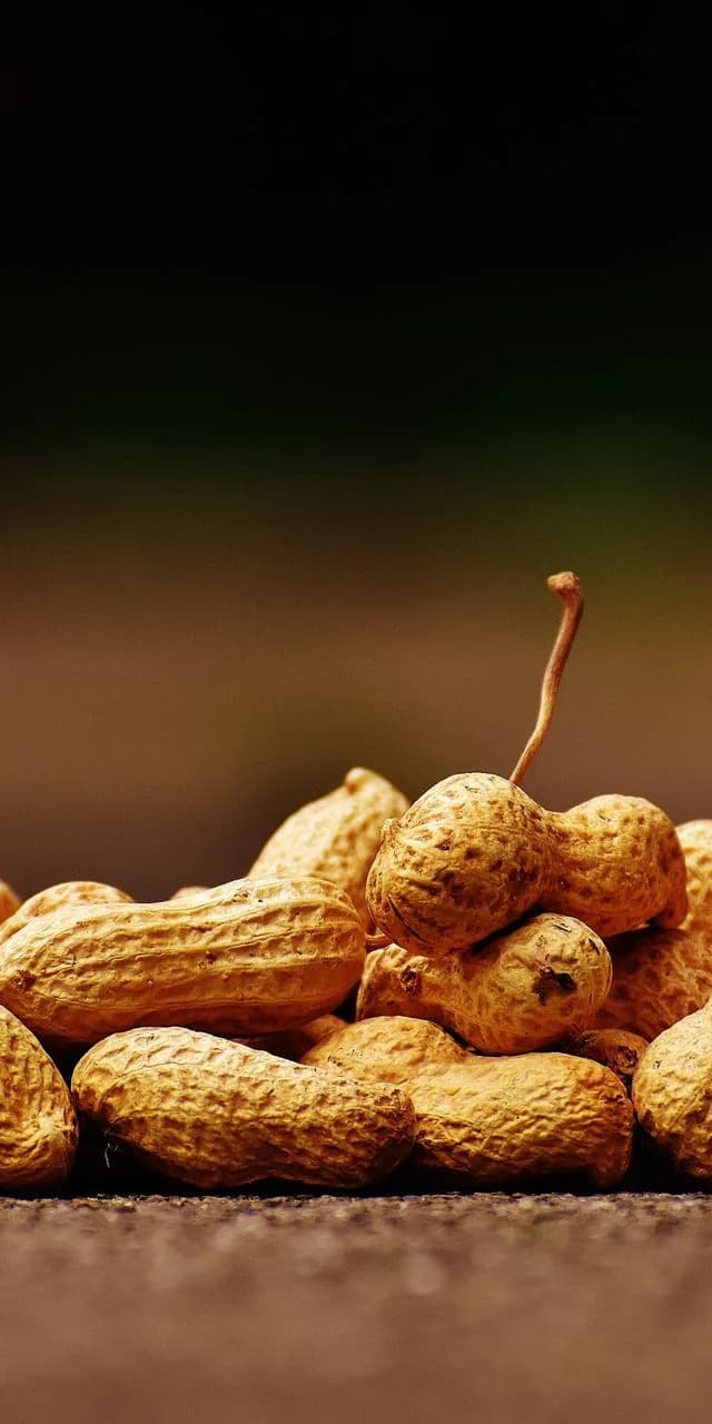 Pile of whole in-shell peanuts on a dark surface